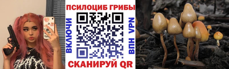 Псилоцибиновые грибы мухоморы дарк нет какой сайт Можайск цены ОМГ ОМГ ONION