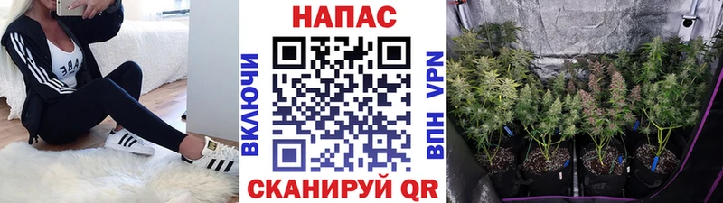 Канабис VHQ Можайск